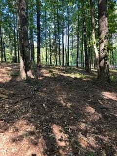 46 Davis Rd, Hiram, GA 30141, USA