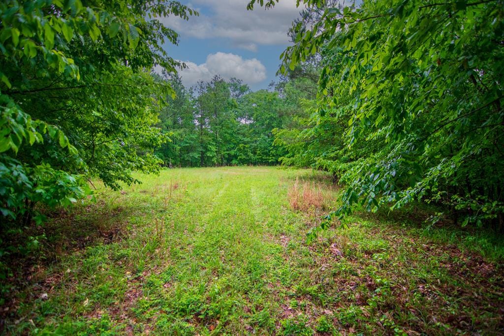 Lot 13 Crestline Drive, Upatoi, GA, 31823
