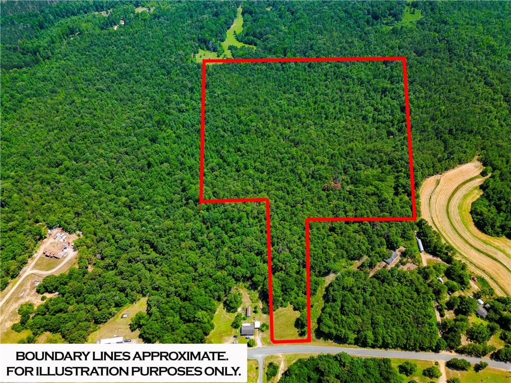 0 COUNTY ROAD 356, CLANTON, AL, 35045 — Photo 2