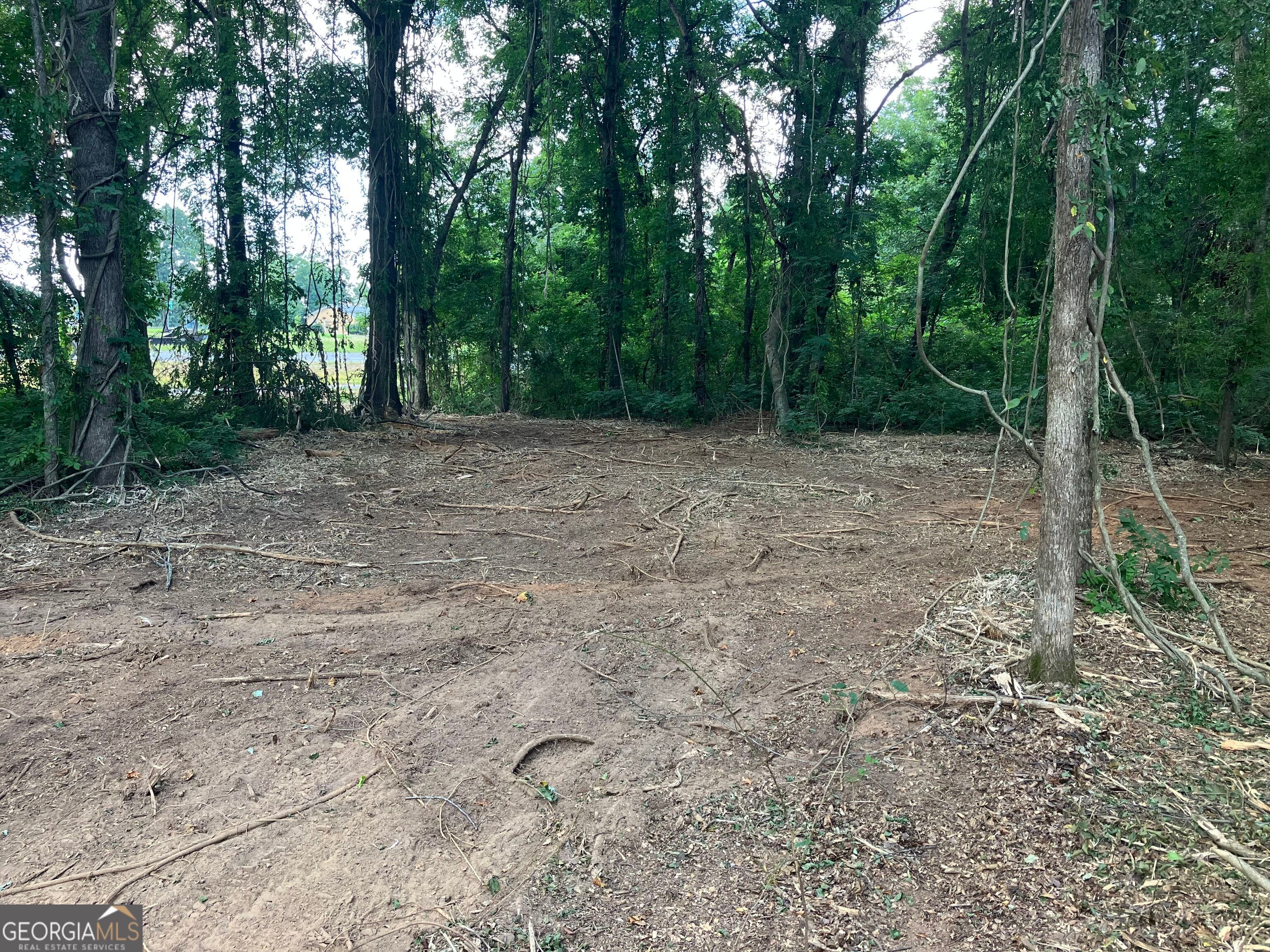 0 Durand, Warm Springs, GA, 31830