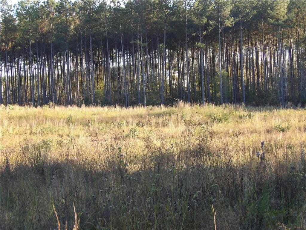 6432 Lee Rd 158, Salem, AL, 36874