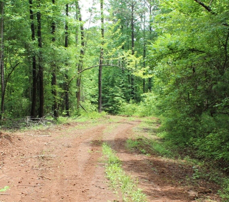 0 EAST MILL, Goodwater, AL, 35072