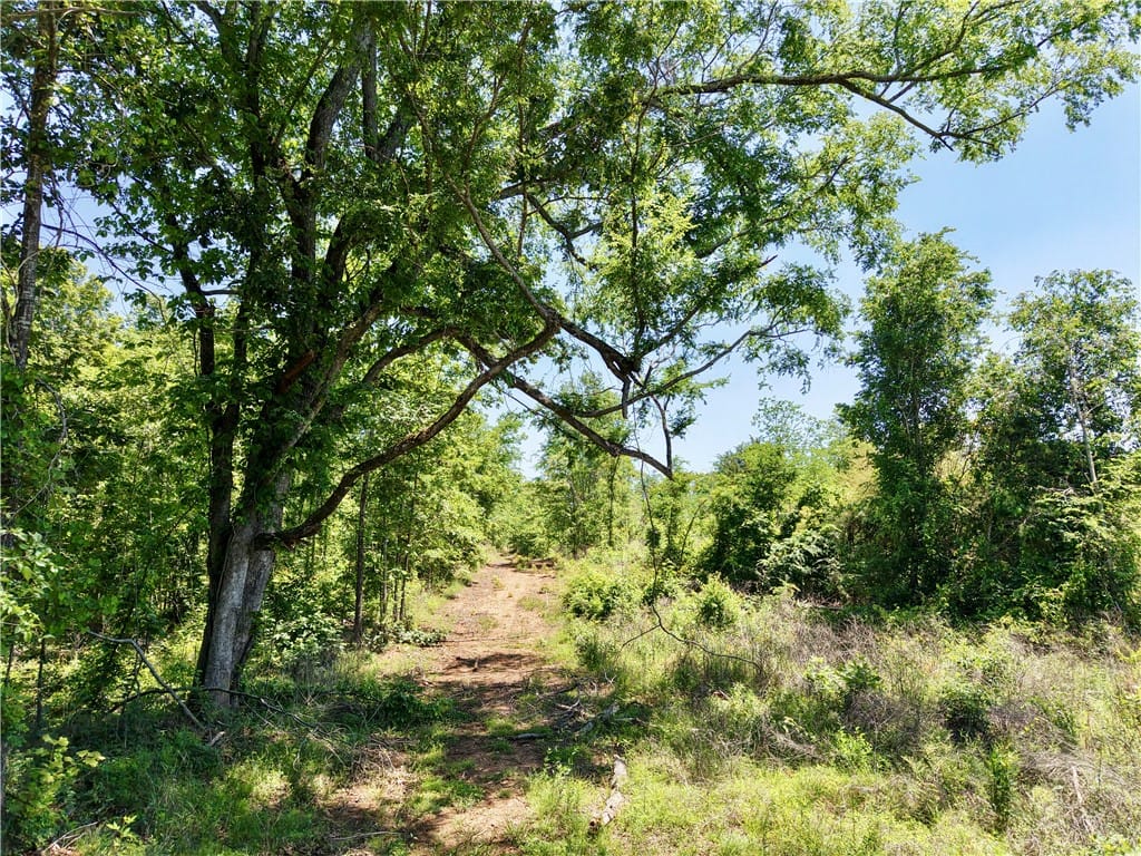 0 Speedway Industrial Drive, Lincoln, AL, 35096