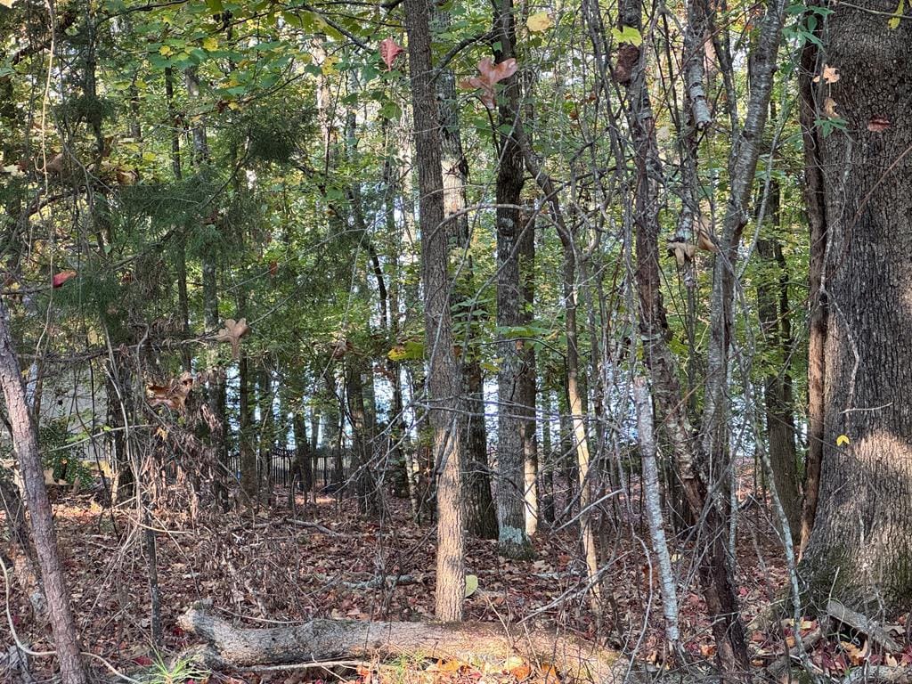 LOt 77 Piedmont Lake Road, Pine Mountain, GA, 31822 — Photo 2