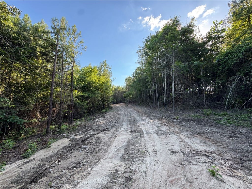 2691 GREENBRIAR, Auburn, AL, 36879