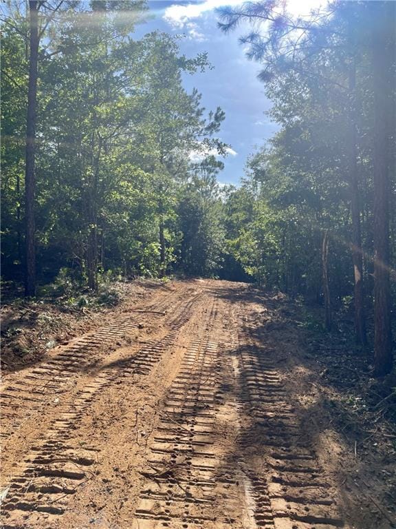 377 Ridge, Seale, AL, 36875