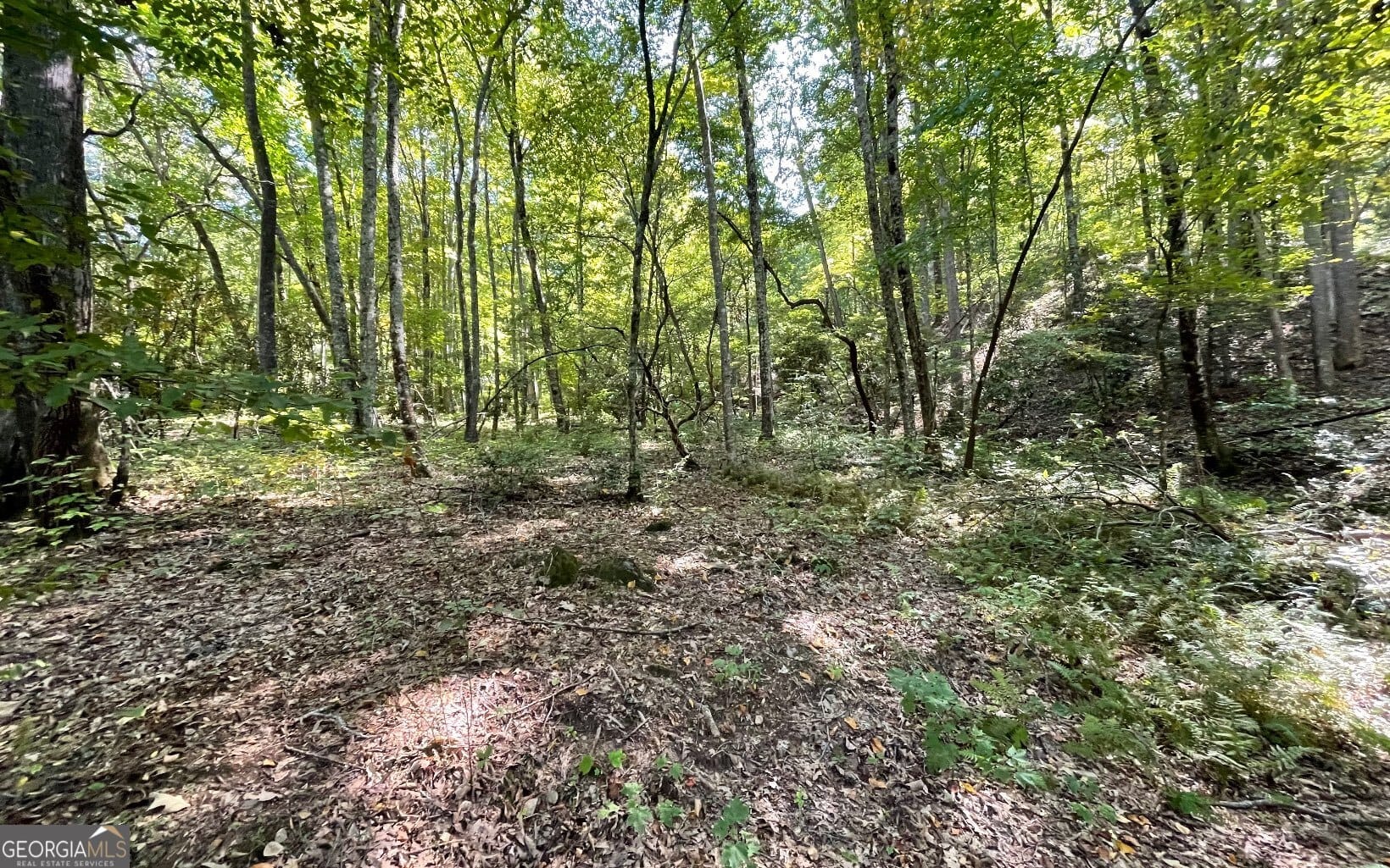 22 High Meadows Dr, Hayesville, NC 28904