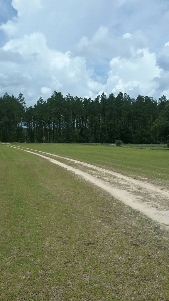 753 Flowing Well Road, Leesburg, GA, 31763 — Photo 3