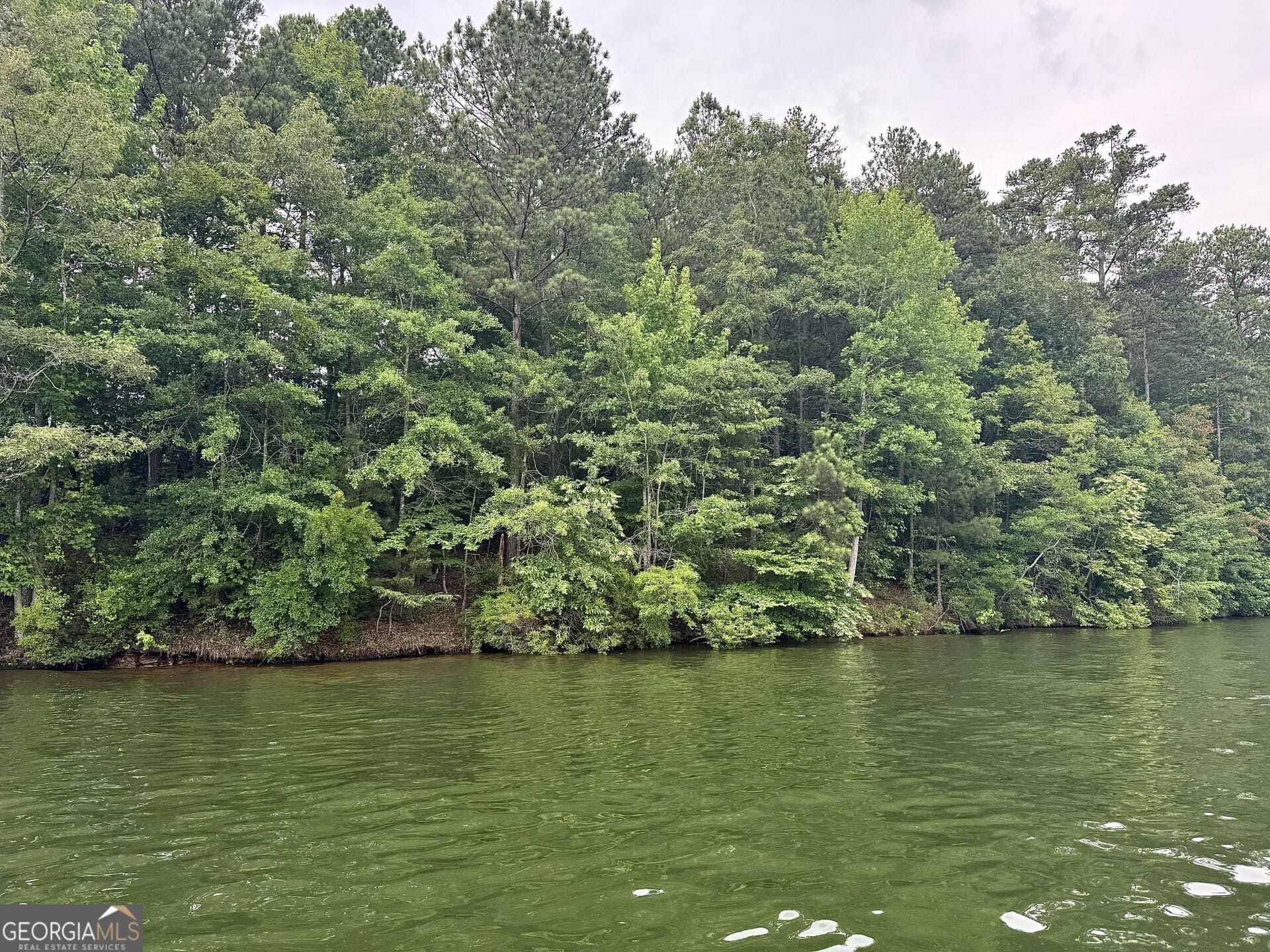 288 Walnut St, Wedowee, AL 36278