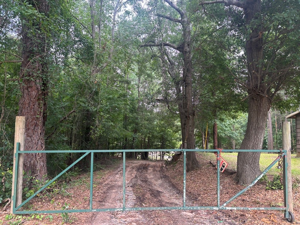 228 Broad St, Buena Vista, GA 31803, Gated entrance for shop and work area