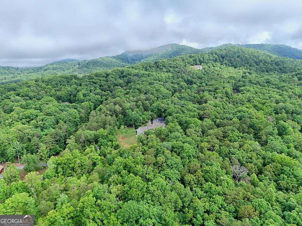 19 Pheasant Trail 16 19, Warne, NC 28909