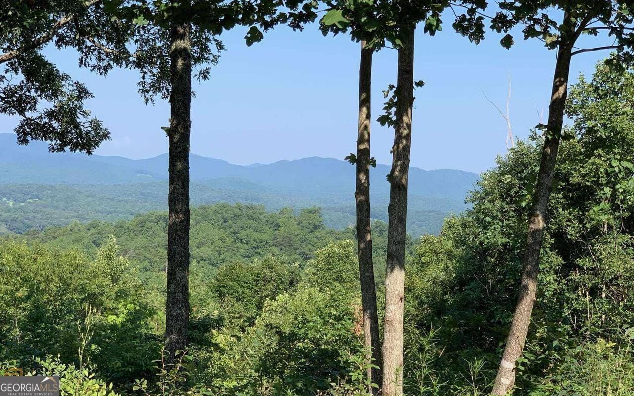 LOT 7 Golden Oak Estates, Warne, NC, 28909