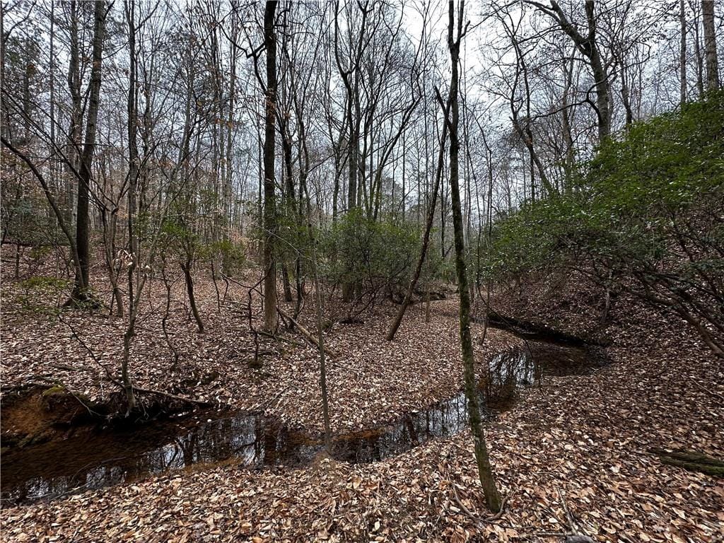 0 Lee Road 367, Valley, AL, 36854