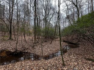 0 Lee Road 367, Valley, AL, 36854