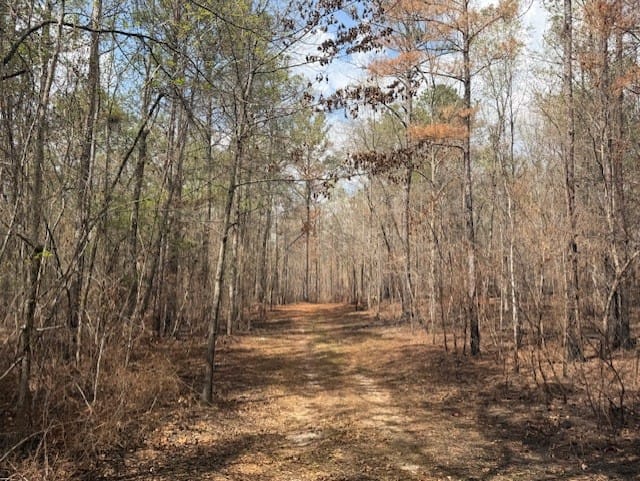 7241 COUNTY ROAD 22, Auburn, AL, 36830 — Photo 3