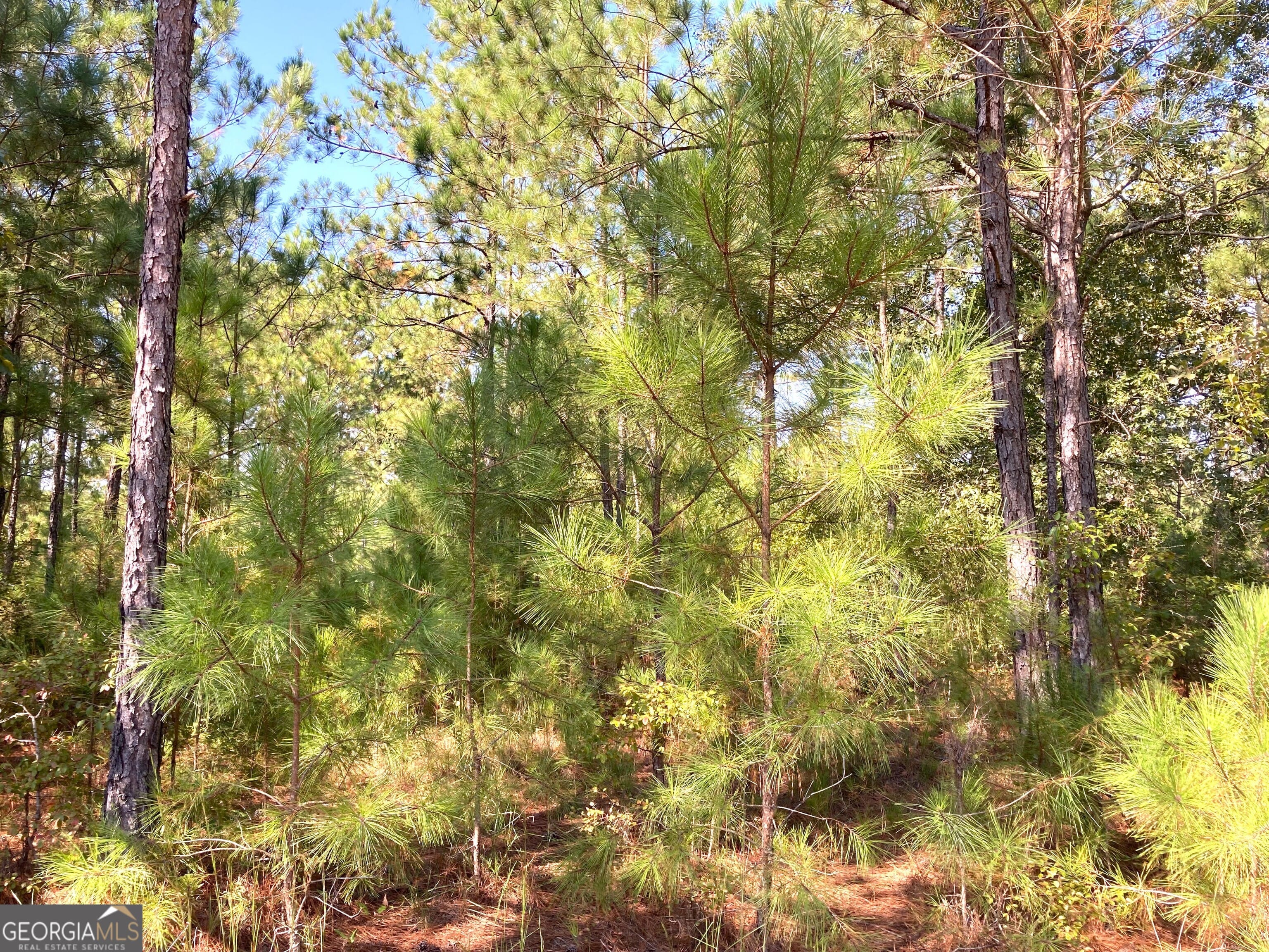 0 Firetower, Cusseta, GA, 31805