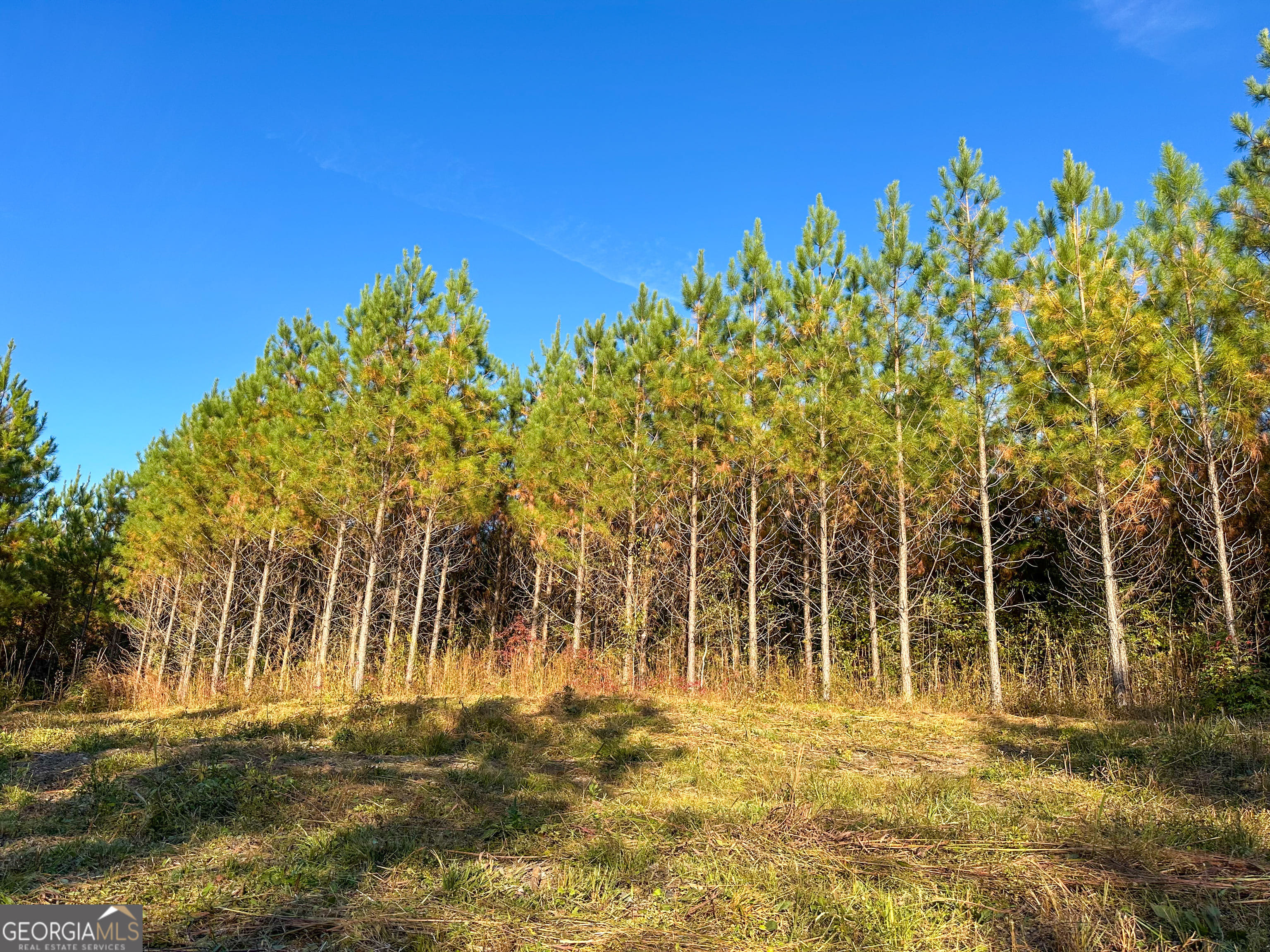 49.2 ACRES Jordon, Waverly Hall, GA, 31831
