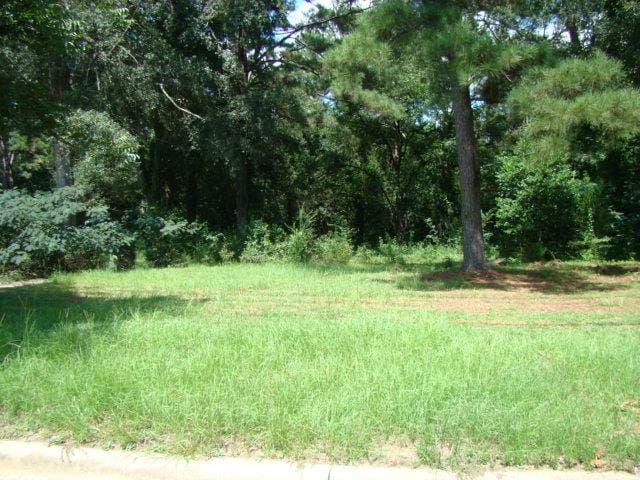 0 Bethlehem Church Road, Pine Mountain Valley, GA, 31822