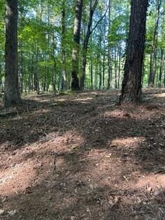 46 Davis Rd, Hiram, GA 30141, USA