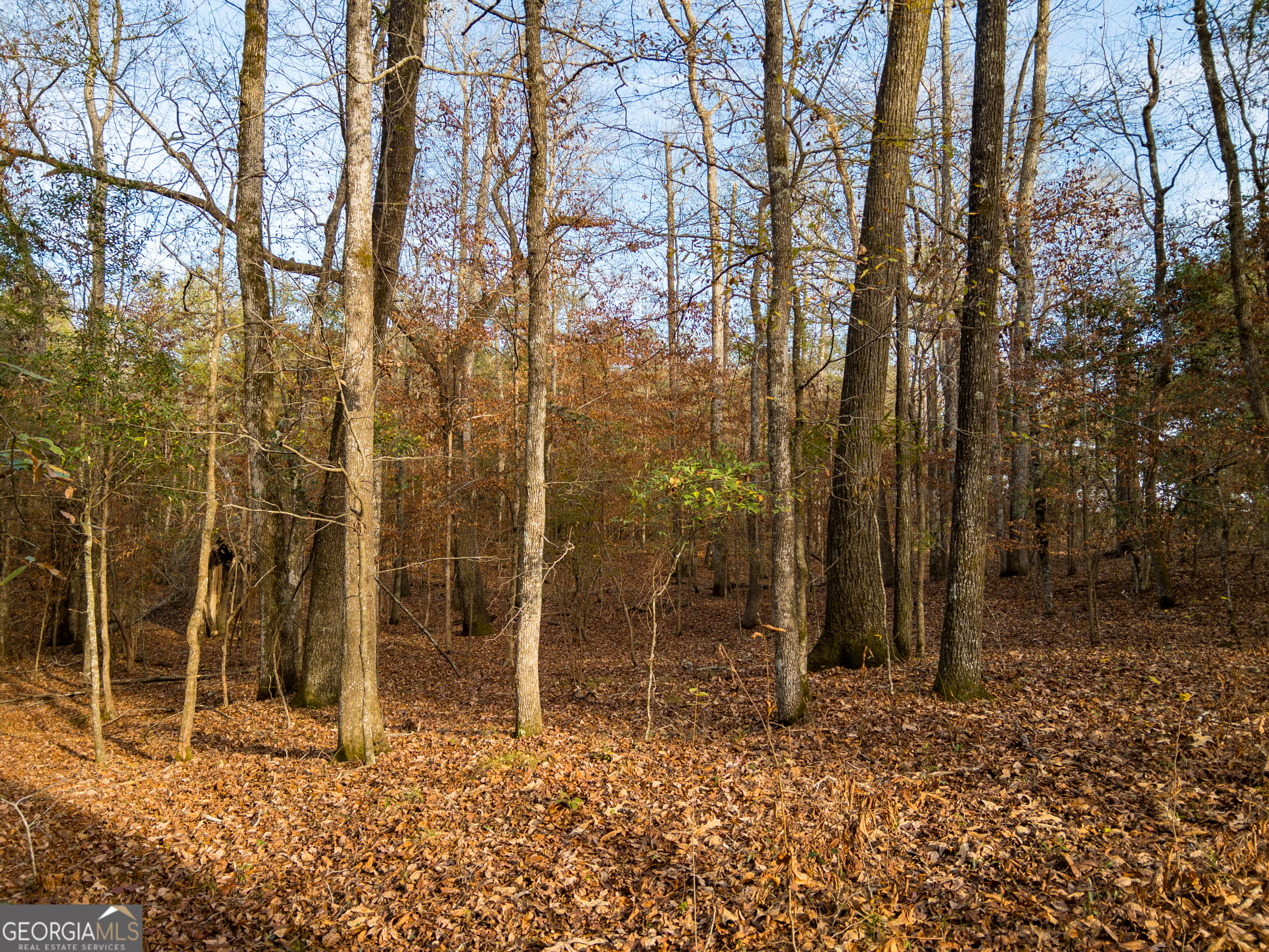 0 Roberta Hwy, Butler, GA 31006
