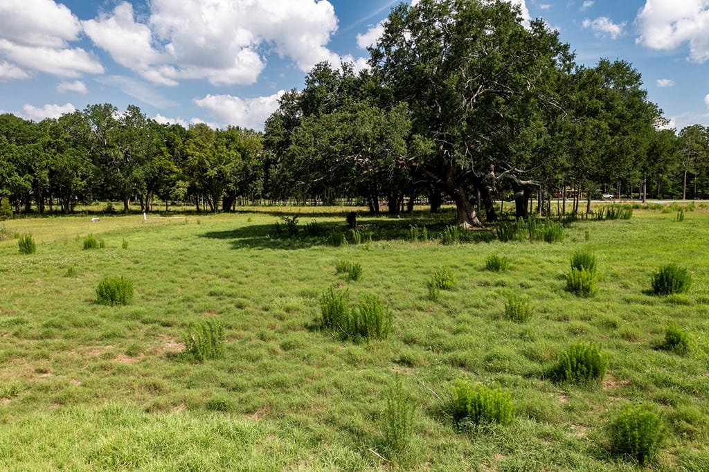 32X Flowing Well Road, Leesburg, GA, 31763 — Photo 3