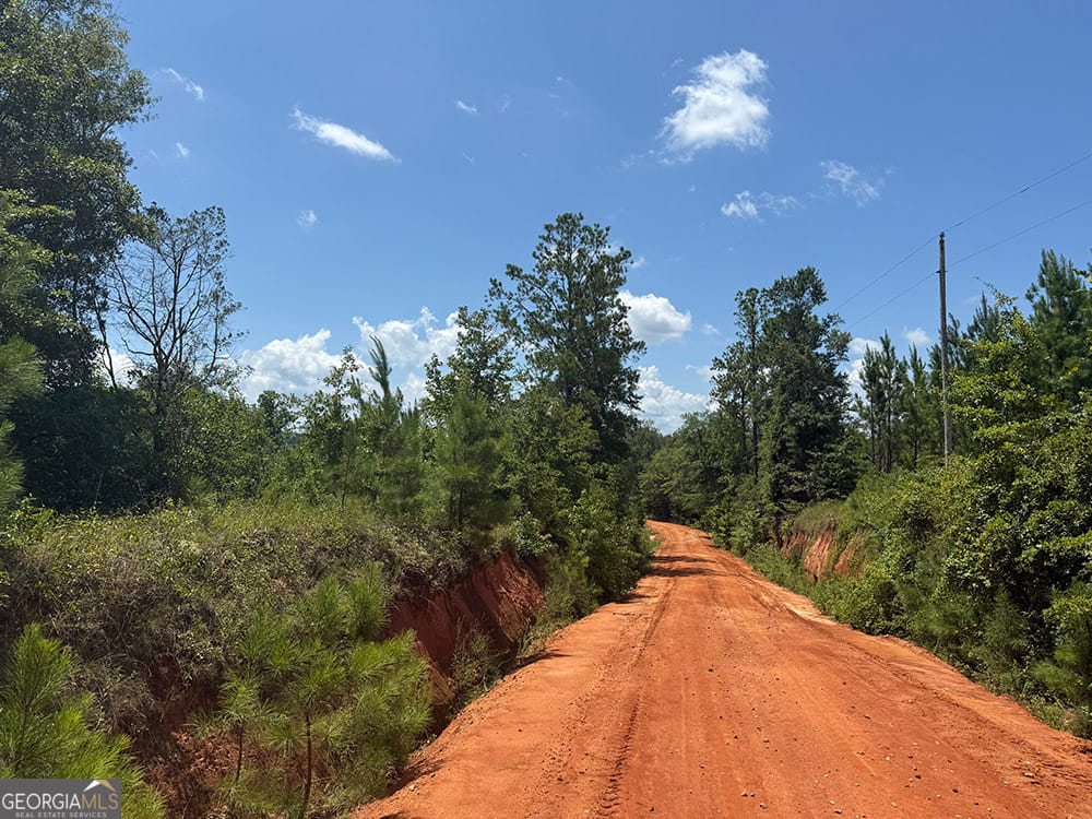0 Fox Creek, Preston, GA, 31824