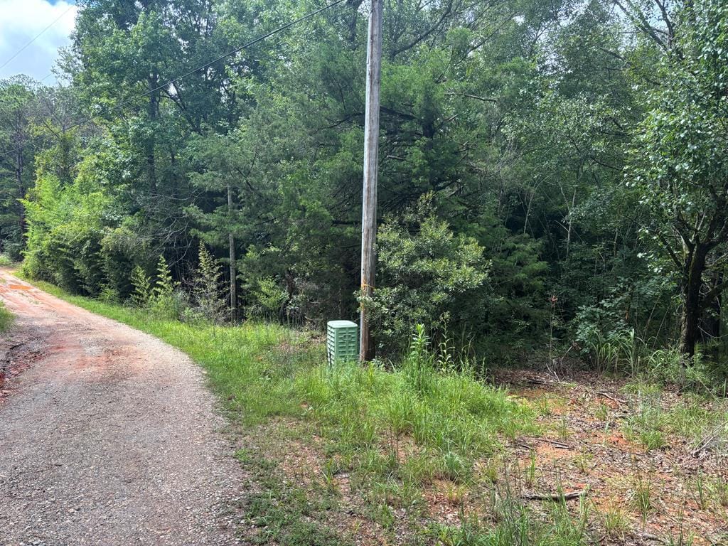 101 Indian Mountain Trail, Hamilton, GA, 31811 — Photo 2