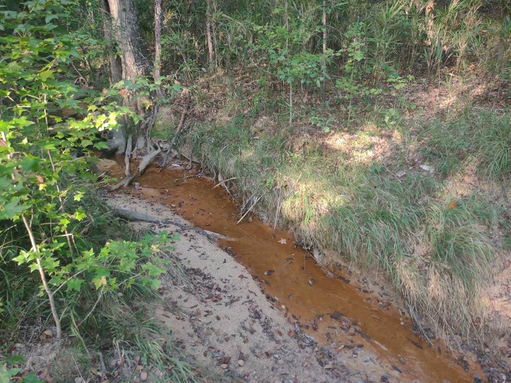 0 Butler Highway, Junction City, GA, 31812