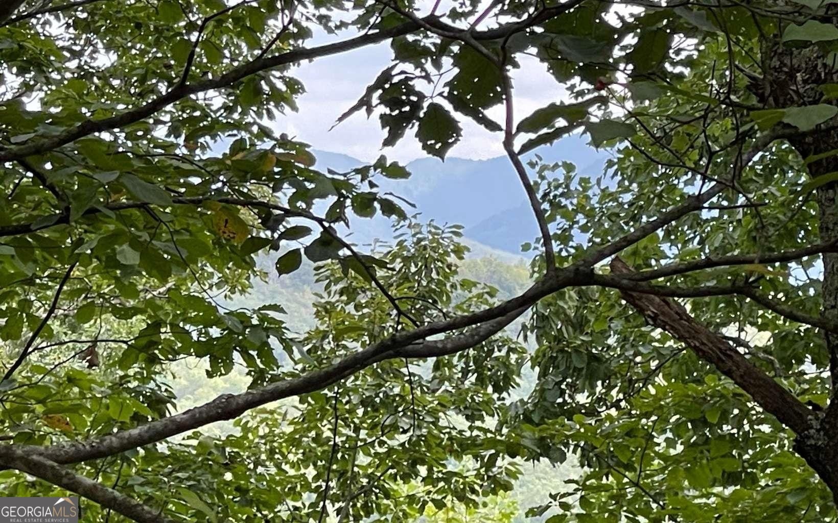 LOT 20 Enchanted Ridge, Hayesville, NC, 28904