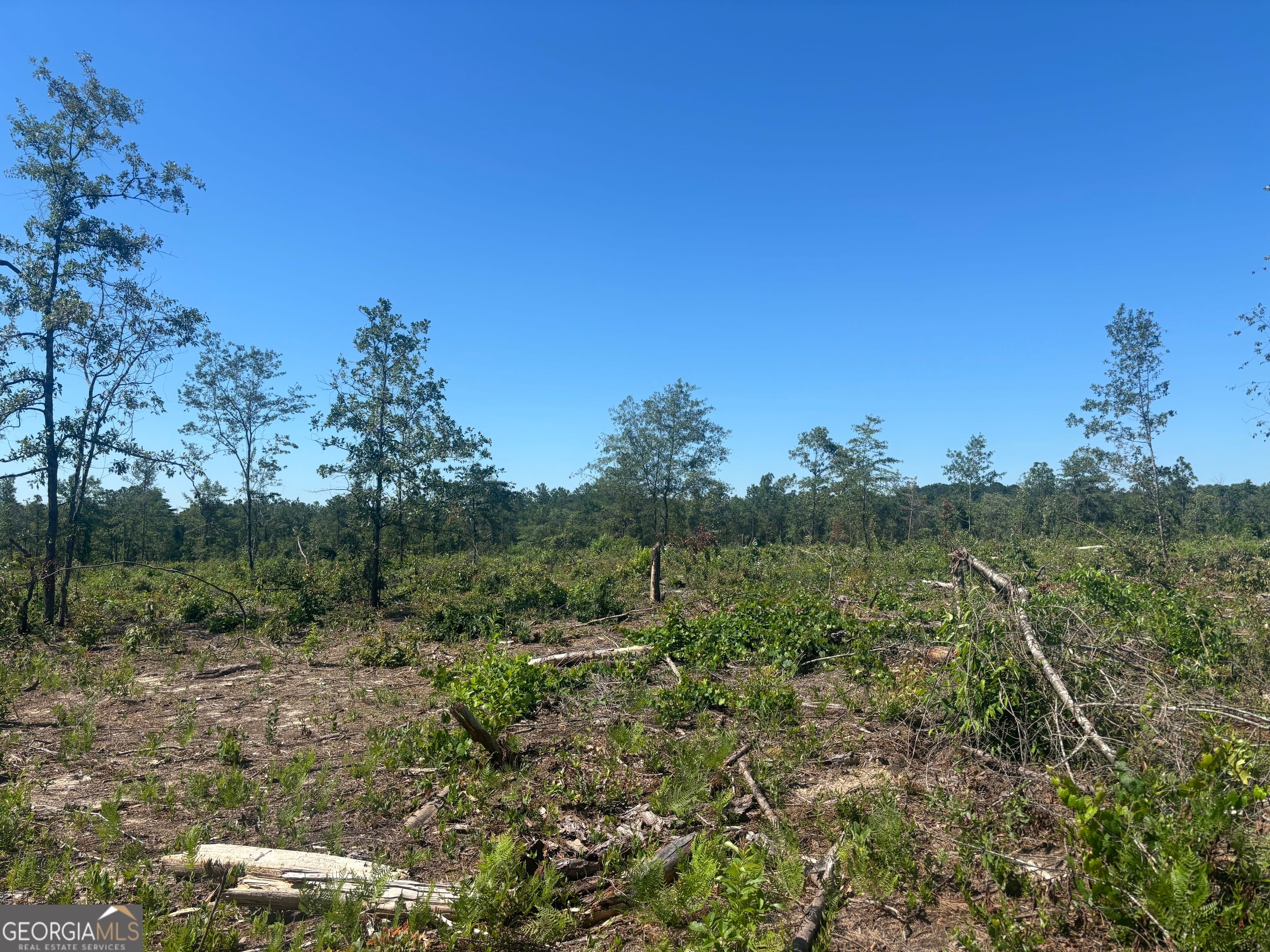38 ACRES Ga Highway 240 N CONNECTOR, Mauk, GA, 31058