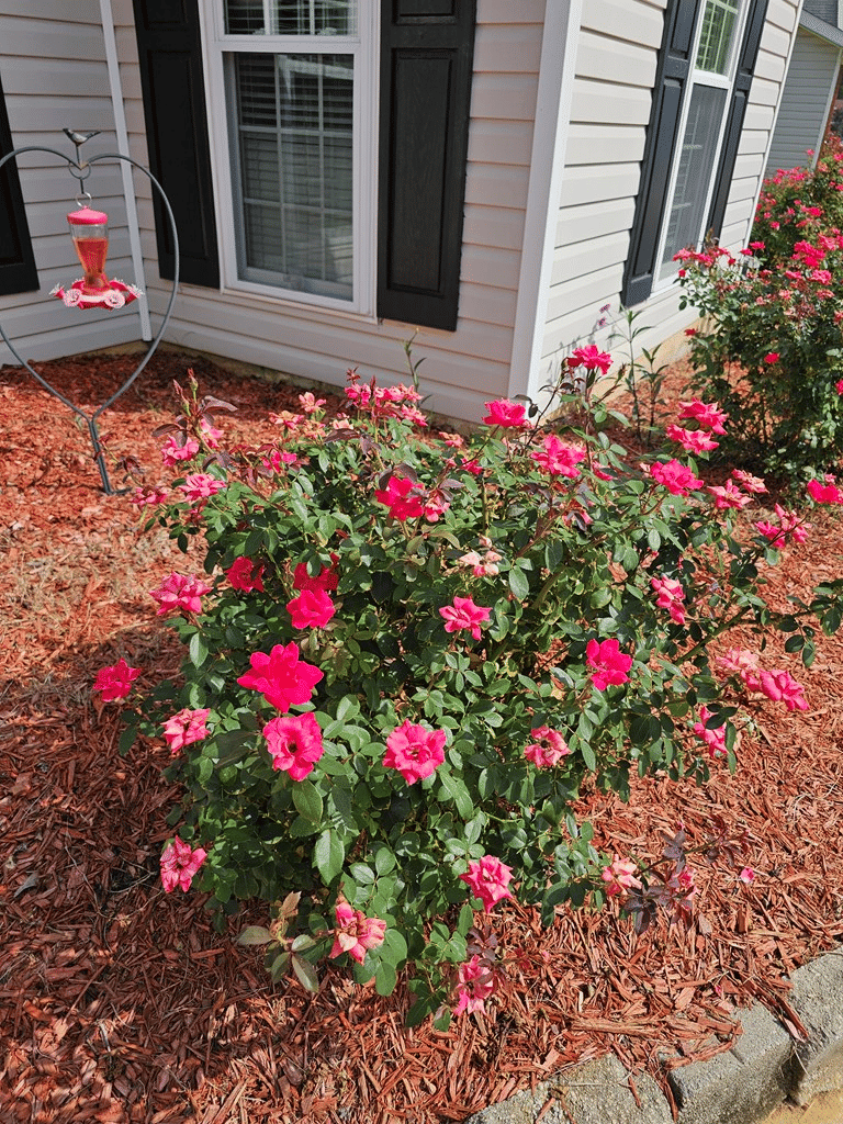 1647 Breeds Hill Loop, Columbus, GA, 31907 — Photo 2