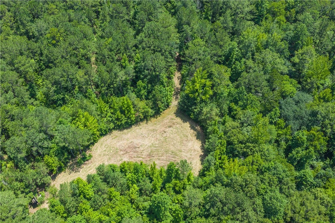 0001 COUNTY ROAD 55, Camp Hill, AL, 36850 — Photo 3