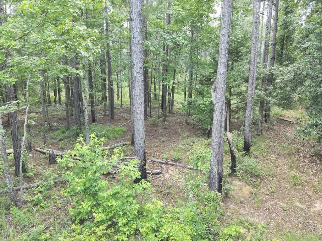 tbd Lime Sink Road, Pelham, GA, 31779 — Photo 2