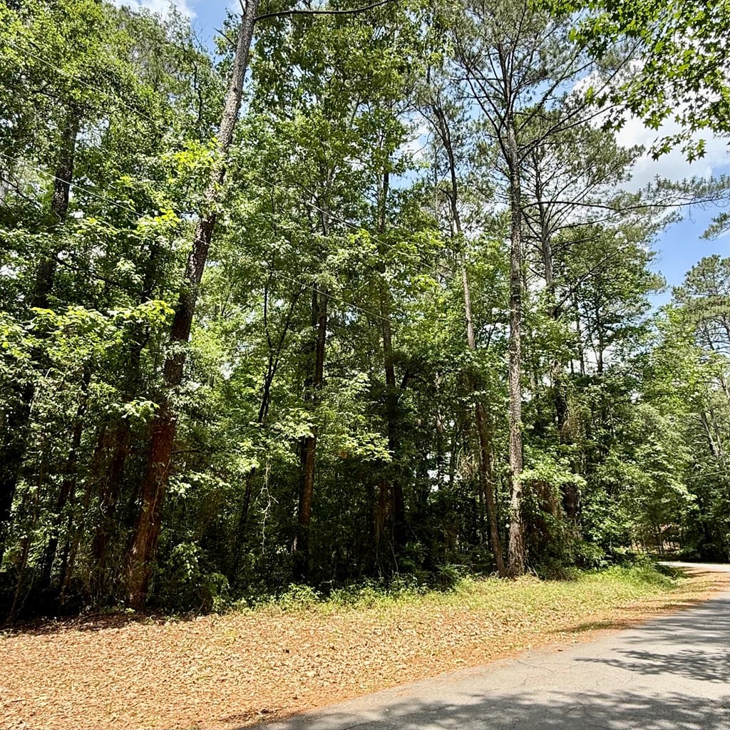 34 Sandy Springs Cir, Hawkinsville, GA 31036