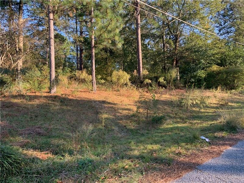 0 Lee Rd 485, Phenix City, AL, 36870