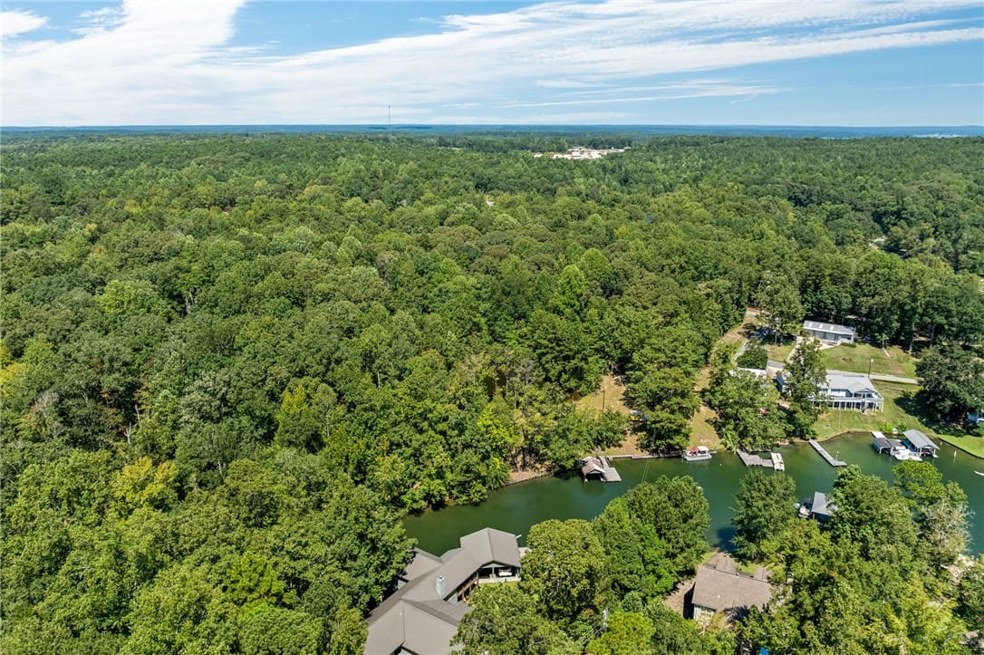 2 Lakeview Dr, Eclectic, AL 36024, Discover a private lakefront retreat surrounded by