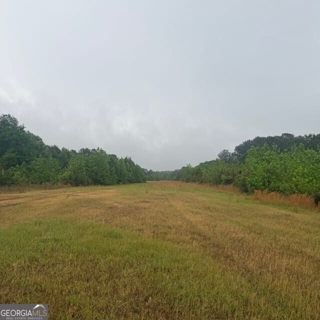 145 +/- ACRES George Smith, Talbotton, GA, 31827