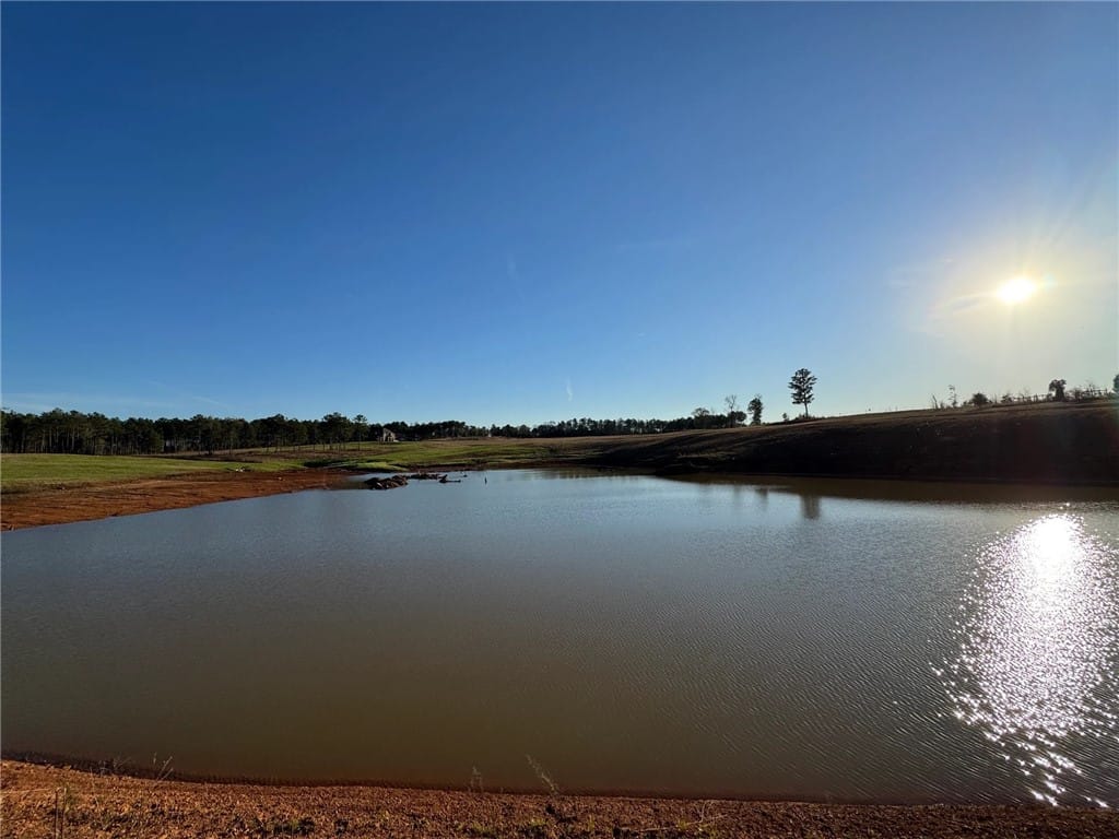 4340 COUNTY ROAD 083, Cusseta, AL, 36852 — Photo 3