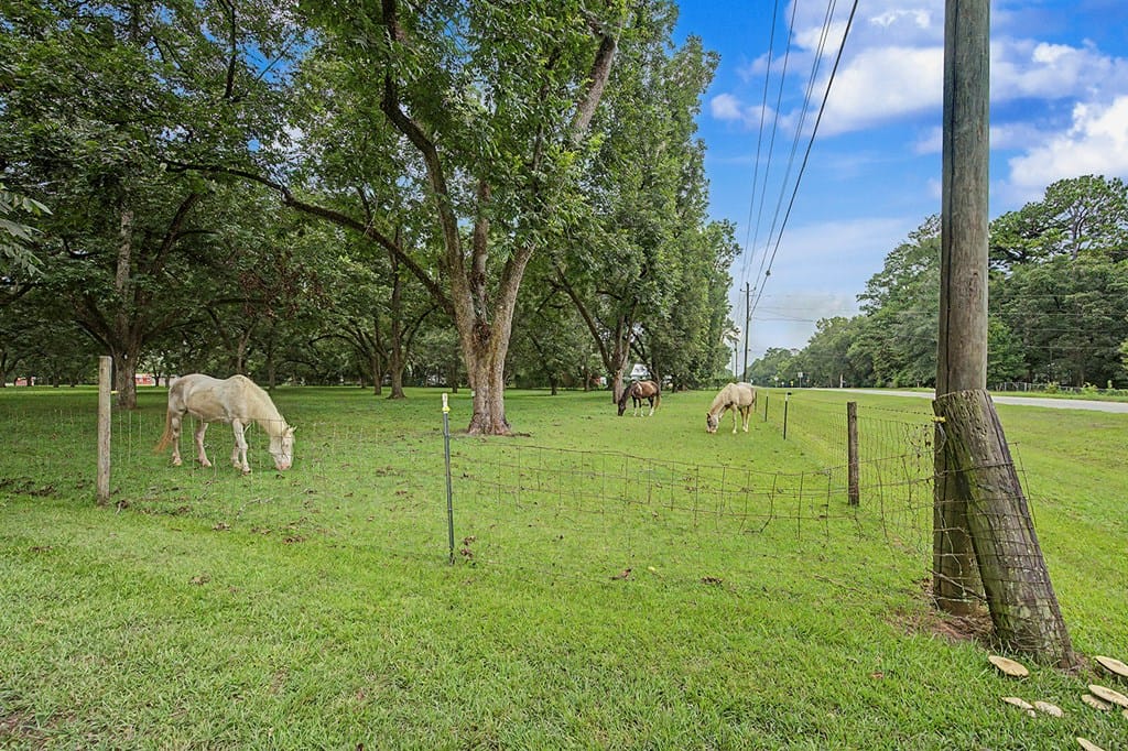 4228 Nichols St, Albany, GA 31705