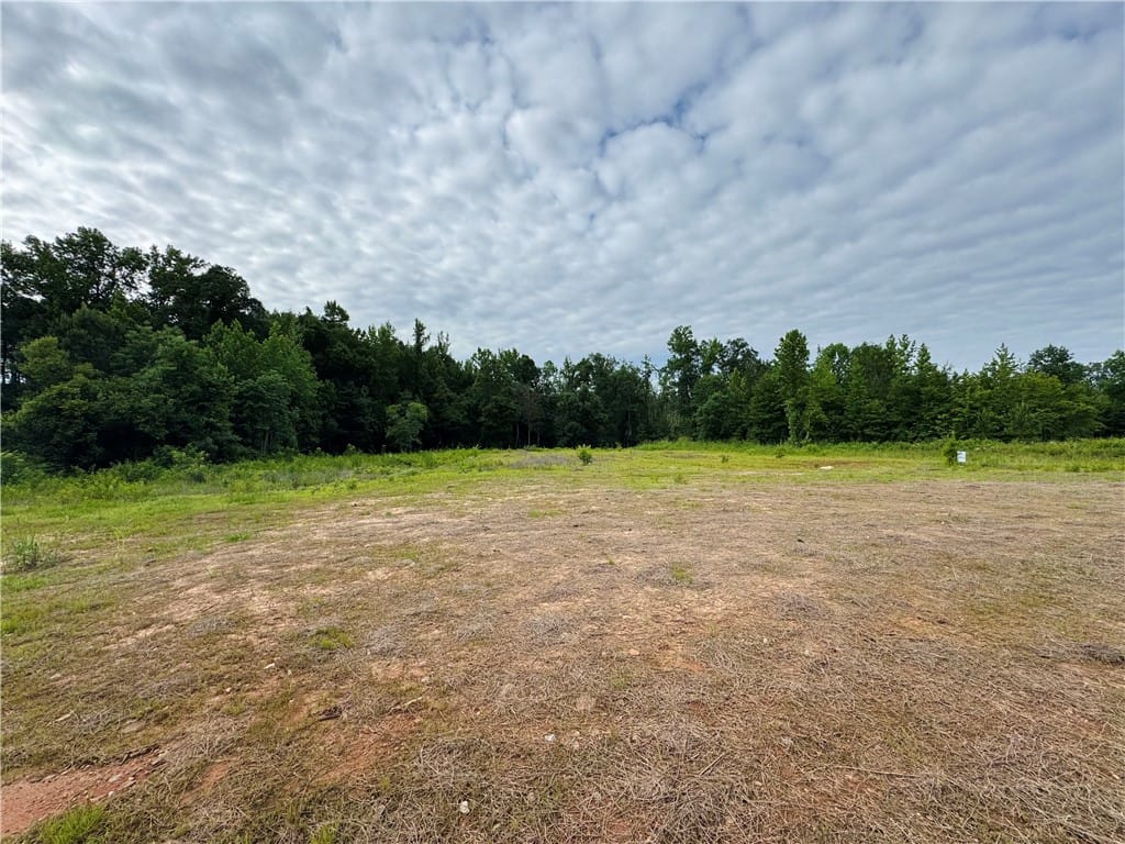 2140 Whippoorwill Street, Auburn, AL, 36879