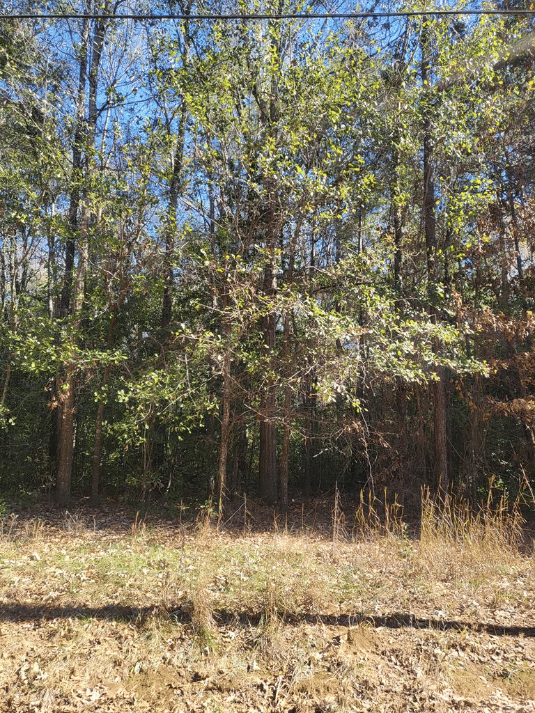 0 Lumpkin Street, Albany, GA, 31705