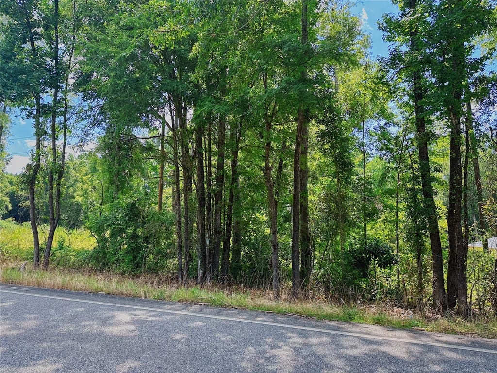 000 AL HIGHWAY 81, NOTASULGA, AL, 36866