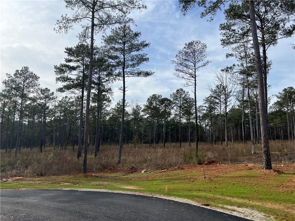 2130 MOURNING DOVE, Opelika, AL, 36801
