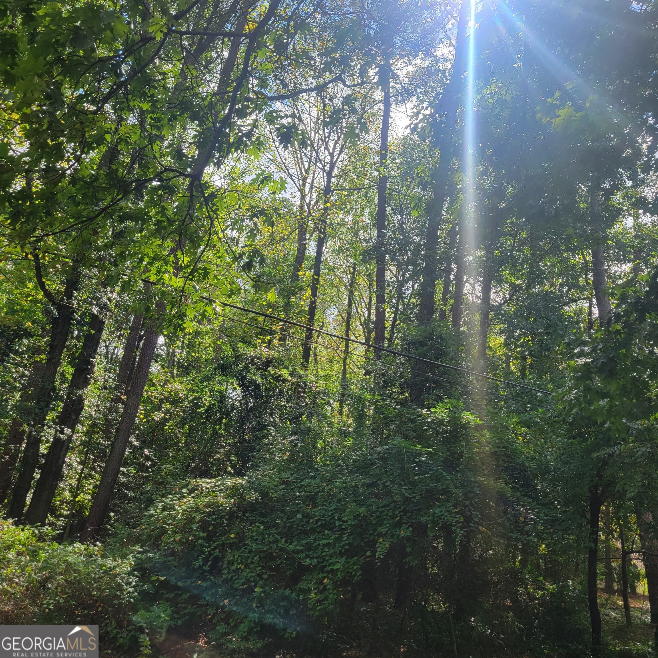 0 Bohannon Woods Rd, Grantville, GA 30220