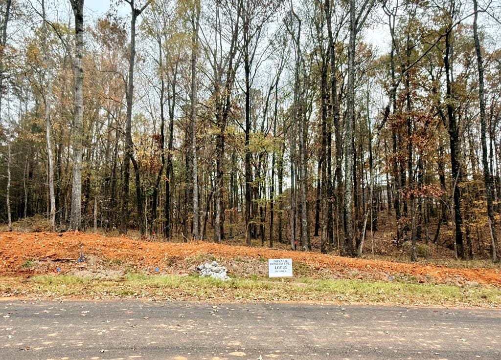 25 Rolling Meadows Way, Waverly Hall, GA, 31831