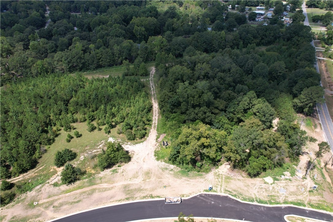 Lot 22 HOMESTEAD, Smiths Station, AL, 36877