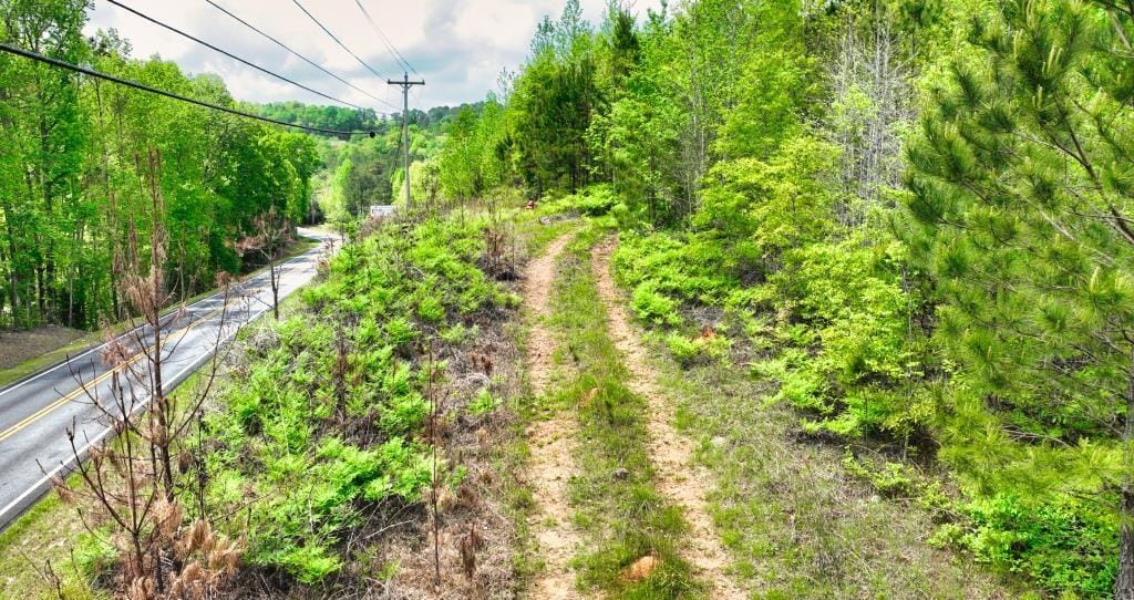 0 Highway 48, Wedowee, AL, 36278 — Photo 2