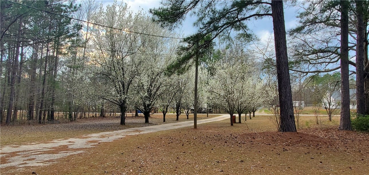 314 Lee Road 263, Cusseta, AL 36852, USA