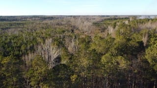 0 COUNTY ROAD 177, CUSSETA, AL, 36852