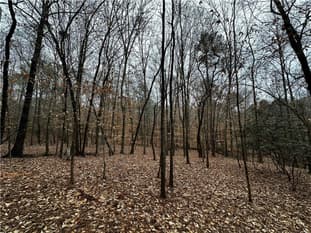 0 Lee Road 367, Valley, AL, 36854